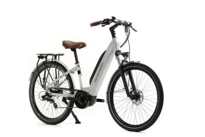 Vélo électrique Granville E-Absolute 24+ chameleon silver mat, alliant style et performance. Parfait pour les déplacements urbains, ce vélo offre une assistance électrique puissante, une batterie longue durée et un design moderne. Profitez d'une conduite confortable et écologique avec Granville